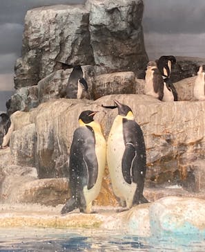 名古屋港水族館に投稿された画像（2023/1/5）