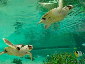 鴨川シーワールドに投稿された画像（2023/1/5）