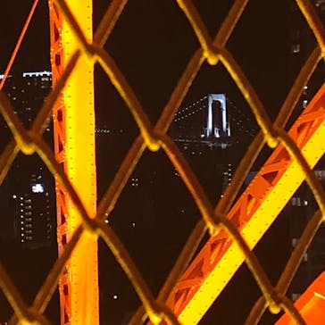 東京タワーに投稿された画像（2023/1/5）