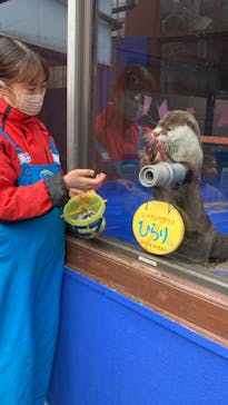 ゼロ距離水族館 伊勢シーパラダイスに投稿された画像（2023/1/5）