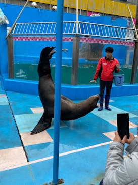 ゼロ距離水族館 伊勢シーパラダイスに投稿された画像（2023/1/5）