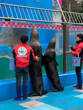 ゼロ距離水族館 伊勢シーパラダイスに投稿された画像（2023/1/5）