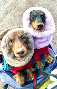 伊豆ぐらんぱる公園に投稿された画像（2023/1/5）