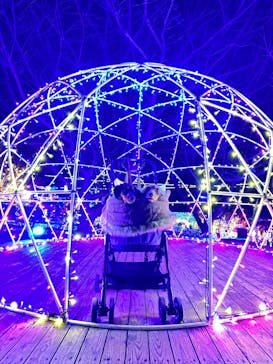 伊豆ぐらんぱる公園に投稿された画像（2023/1/5）