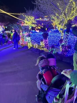 伊豆ぐらんぱる公園に投稿された画像（2023/1/5）