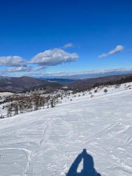 白樺湖ロイヤルヒルに投稿された画像（2023/1/5）