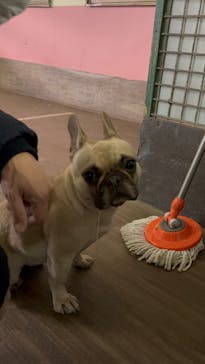 ワールド牧場に投稿された画像（2023/1/5）