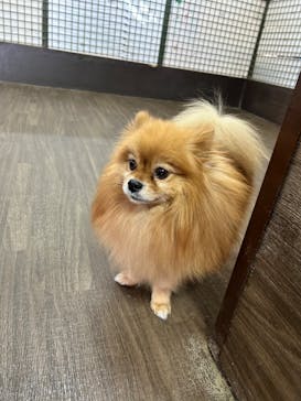 ワールド牧場に投稿された画像（2023/1/5）