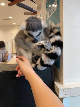 アニタッチみなとみらいに投稿された画像（2023/1/5）