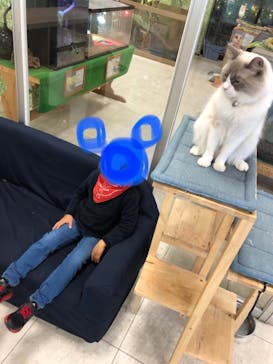 Moff animal world BIGHOPガーデンモール印西店に投稿された画像（2023/1/5）