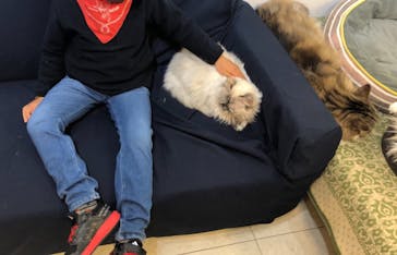 Moff animal world BIGHOPガーデンモール印西店に投稿された画像（2023/1/5）