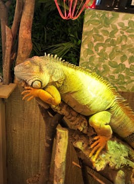 Moff animal world BIGHOPガーデンモール印西店に投稿された画像（2023/1/5）