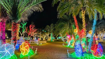 美らヤシパークオキナワ・東南植物楽園に投稿された画像（2023/1/5）