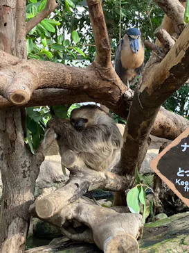 神戸どうぶつ王国に投稿された画像（2023/1/5）