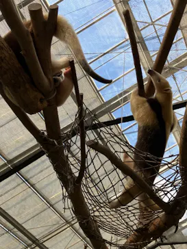 神戸どうぶつ王国に投稿された画像（2023/1/5）