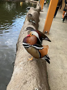 神戸どうぶつ王国に投稿された画像（2023/1/5）