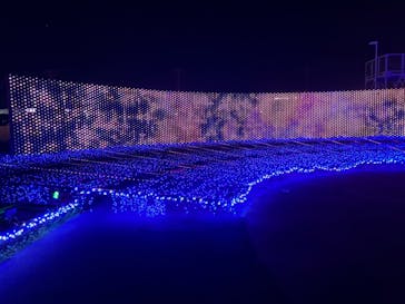 東京メガイルミに投稿された画像（2023/1/5）