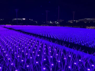 東京メガイルミに投稿された画像（2023/1/5）