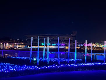 東京メガイルミに投稿された画像（2023/1/5）