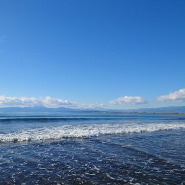 新江ノ島水族館に投稿された画像（2023/1/5）