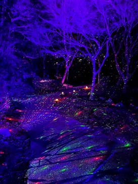 ニジゲンノモリに投稿された画像（2023/1/5）