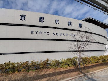 京都水族館×ニデック京都タワーに投稿された画像（2023/1/5）