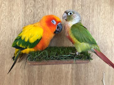 Moff animal cafe 小田原ダイナシティ店に投稿された画像（2023/1/5）