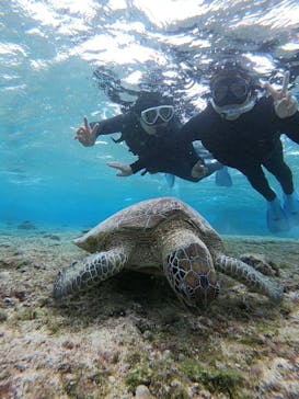 宮古島 ADVENTURE PiPi（ミヤコジマ アドベンチャー ピピ）に投稿された画像（2023/1/5）