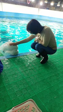 鴨川シーワールドに投稿された画像（2023/1/5）