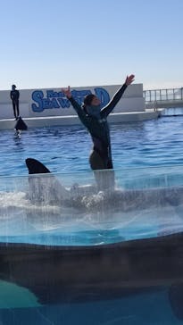 鴨川シーワールドに投稿された画像（2023/1/5）