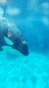 鴨川シーワールドに投稿された画像（2023/1/5）