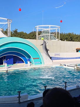 鴨川シーワールドに投稿された画像（2023/1/5）