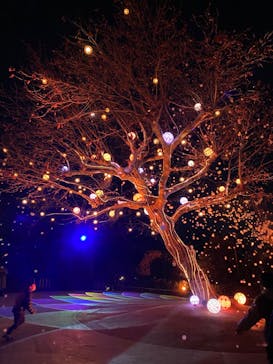 西武園ゆうえんちに投稿された画像（2023/1/5）