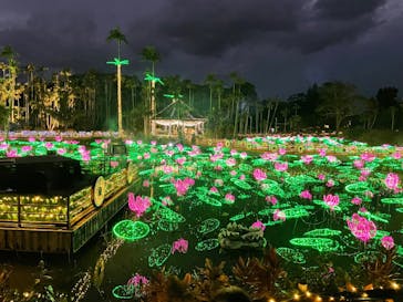 美らヤシパークオキナワ・東南植物楽園に投稿された画像（2023/1/5）