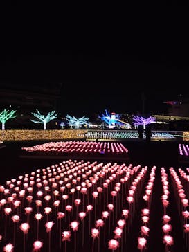 東京メガイルミに投稿された画像（2023/1/5）