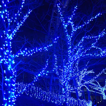 ひらかたパークに投稿された画像（2023/1/6）