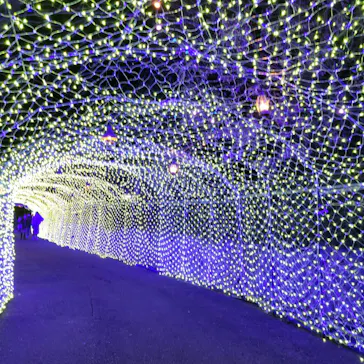 ひらかたパークに投稿された画像（2023/1/6）