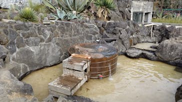 伊豆シャボテン動物公園に投稿された画像（2023/1/6）