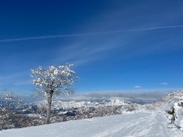 スキージャム勝山に投稿された画像（2023/1/6）