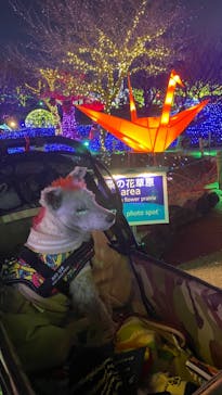 伊豆ぐらんぱる公園に投稿された画像（2023/1/6）