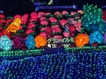 伊豆ぐらんぱる公園に投稿された画像（2023/1/6）