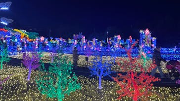 伊豆ぐらんぱる公園に投稿された画像（2023/1/6）