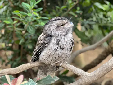 神戸どうぶつ王国に投稿された画像（2023/1/6）