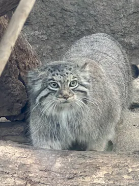 神戸どうぶつ王国に投稿された画像（2023/1/6）