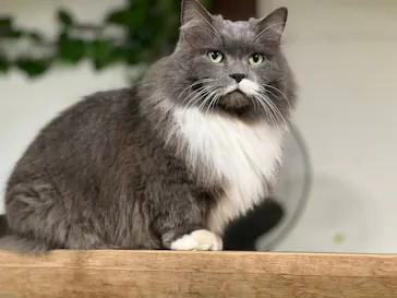 神戸どうぶつ王国に投稿された画像（2023/1/6）