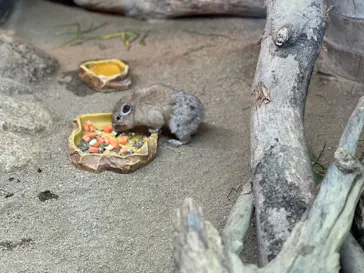 神戸どうぶつ王国に投稿された画像（2023/1/6）