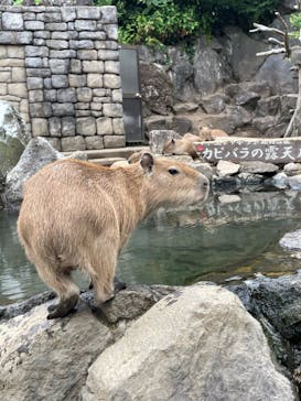 伊豆シャボテン動物公園に投稿された画像（2023/1/6）