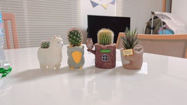 伊豆シャボテン動物公園に投稿された画像（2023/1/6）