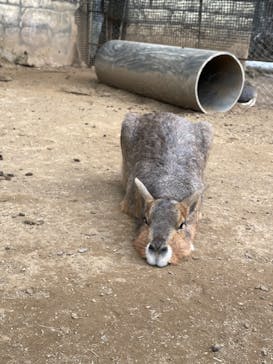 伊豆シャボテン動物公園に投稿された画像（2023/1/6）