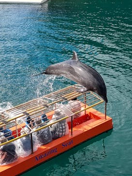下田海中水族館に投稿された画像（2023/1/6）